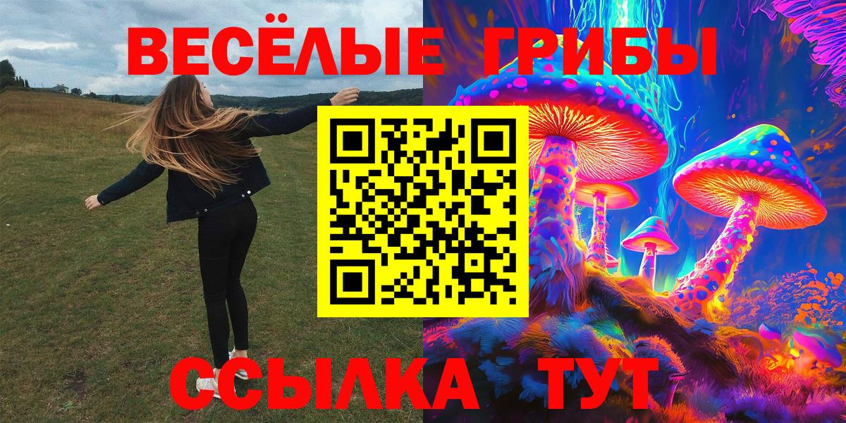 Галлюциногенные грибы Psilocybe  Вход с VPN  Чехов 