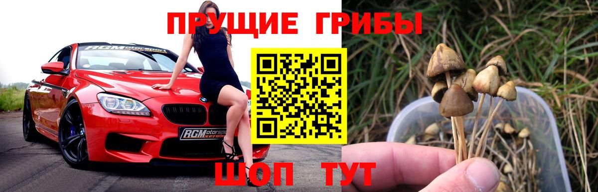 Галлюциногенные грибы мухоморы Чехов
